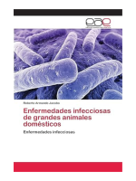 Enfermedades infecciosas de grandes animales domésticos: Enfermedades infecciosas