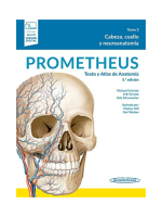PROMETHEUS: Texto y Atlas de Anatomía 5ª edición – Tomo 3 (Tomo 3: Cabeza, cuello y neuroanatomía)