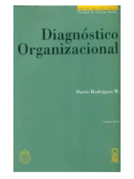 Diagnóstico organizacional